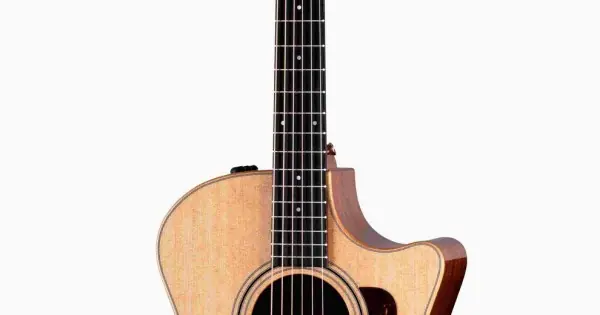 Nuova Collezione Taylor 314ce Studio
